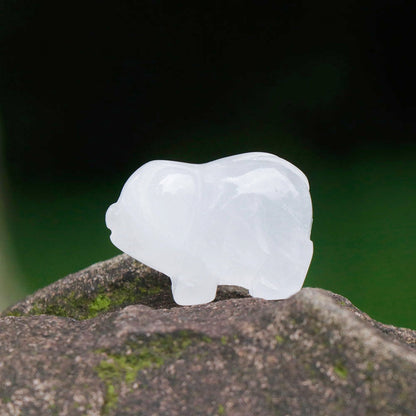 12 Types of Crystal Stone 1 Inch Mini Pig Animal Carvings GEMROCKY-Clear Quartz-