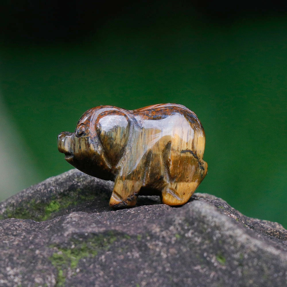 12 Types of Crystal Stone 1 Inch Mini Pig Animal Carvings GEMROCKY-Tiger Eye Stone-