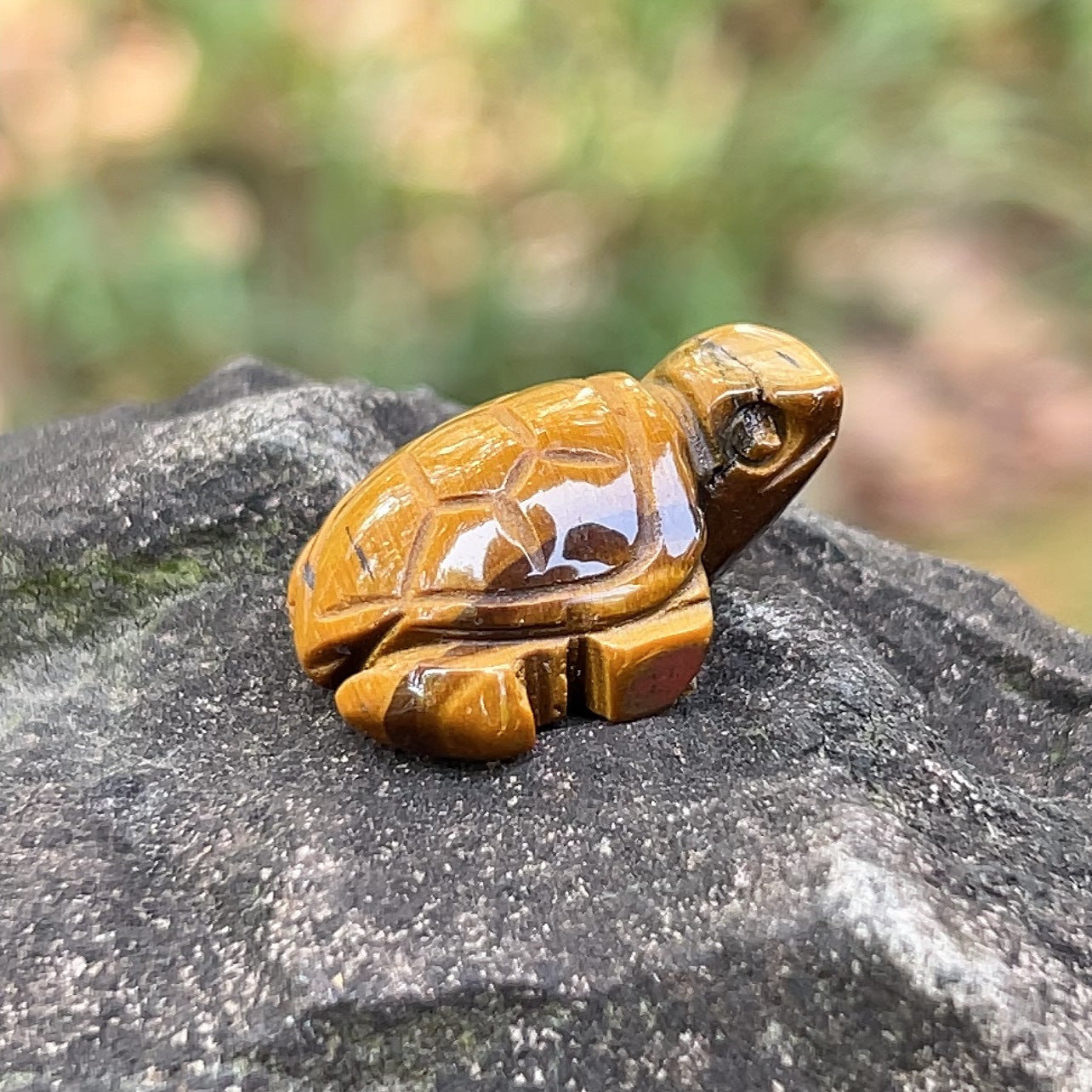 12 Types of Crystal Stone 1 Inch Sea Turtle Animal Carvings GEMROCKY-Tiger Eye Stone-