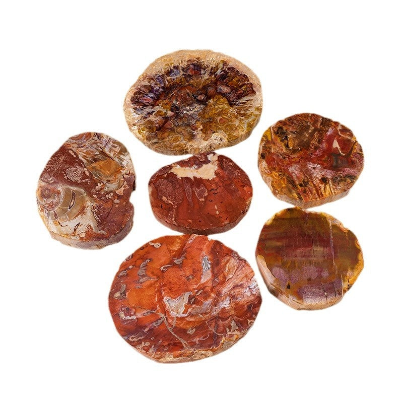 Madagascar Wood Fossil Slice Coasters Home Decor Ornaments GEMROCKY-50-100g-