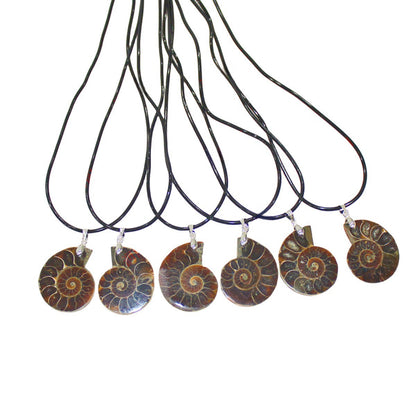 Ammonite Fossil Conch Pendant Necklaces GEMROCKY-Jewelry-