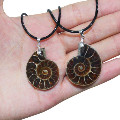 Ammonite Fossil Conch Pendant Necklaces GEMROCKY-Jewelry-