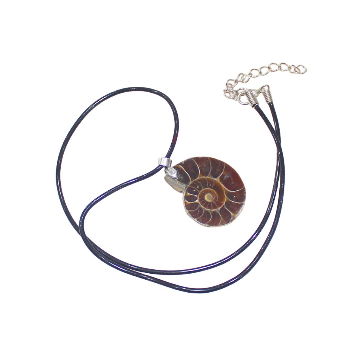 Ammonite Fossil Conch Pendant Necklaces GEMROCKY-Jewelry-