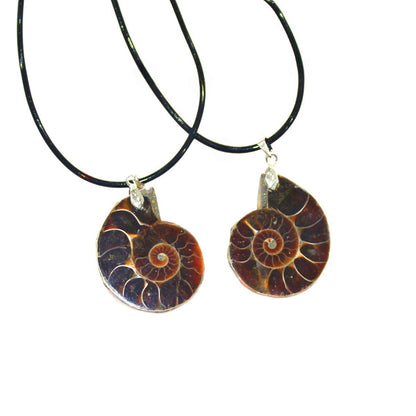 Ammonite Fossil Conch Pendant Necklaces GEMROCKY-Jewelry-