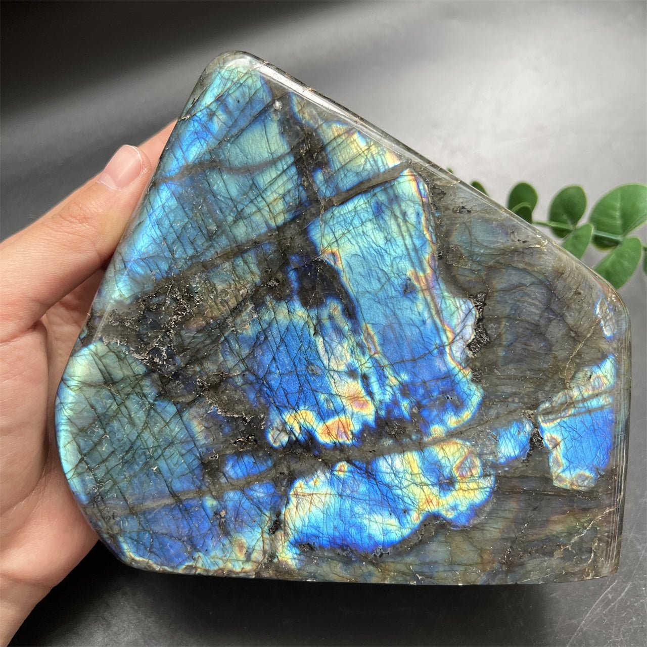 Blue Flash Labradorite Ornaments GEMROCKY-Decoration-