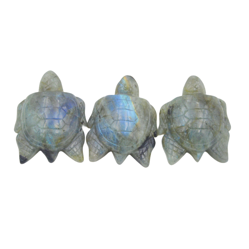Crystal Sea Turtle 5.5cm Carvings GEMROCKY-Carvings-Labradorite-
