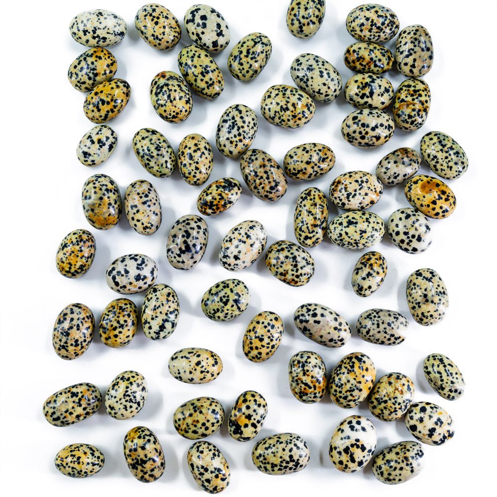 Dalmatian Jasper Tumble Stones GEMROCKY-Tumbles-