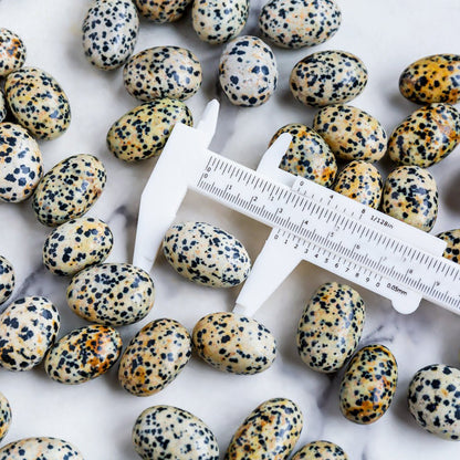 Dalmatian Jasper Tumble Stones GEMROCKY-Tumbles-