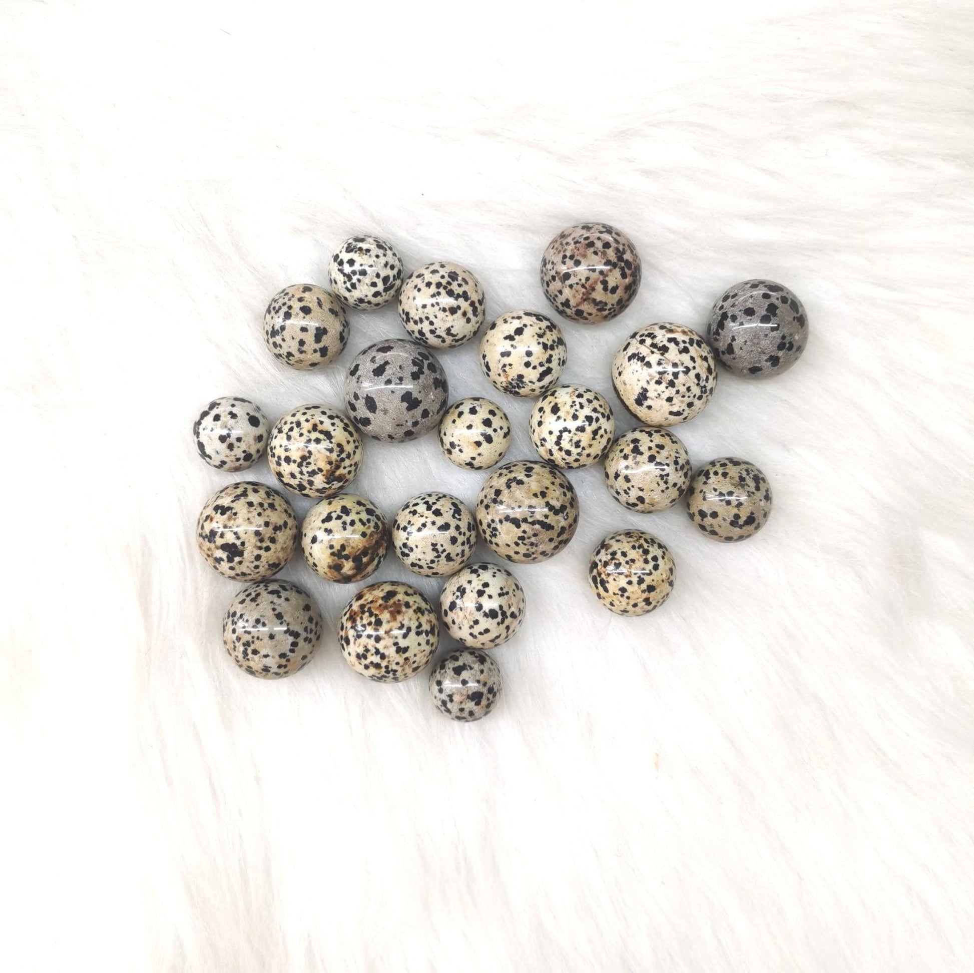 Dalmatian Jasper Tumble Stones GEMROCKY-Tumbles-