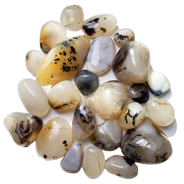 Dendritic Agate Tumble Stones GEMROCKY-Tumbles-