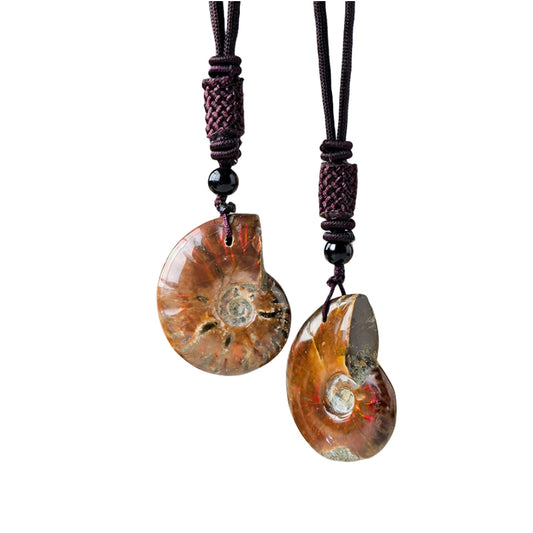 Madagascar Spotted Snail Fossil Pendant Necklaces GEMROCKY-Jewelry-