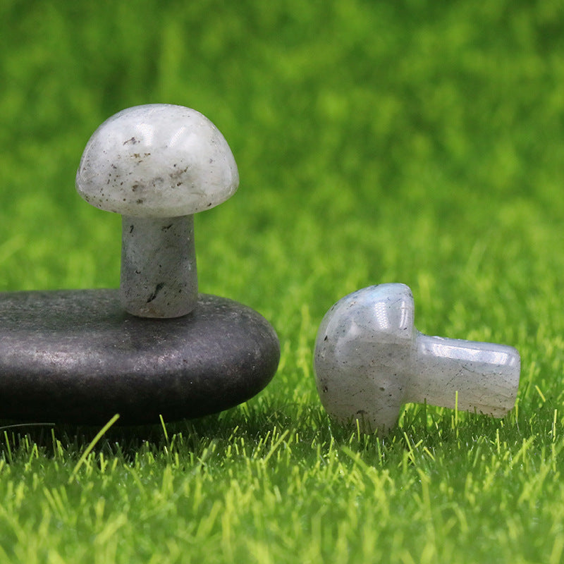 Mini Multi Material 2cm Crystal Mushrooms Carvings GEMROCKY-Carvings-Labradorite-