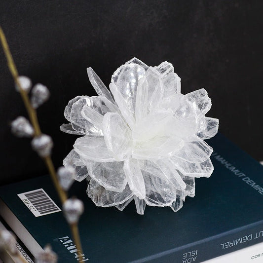 Selenite Blooming Flower Table Ornaments GEMROCKY-Decoration-