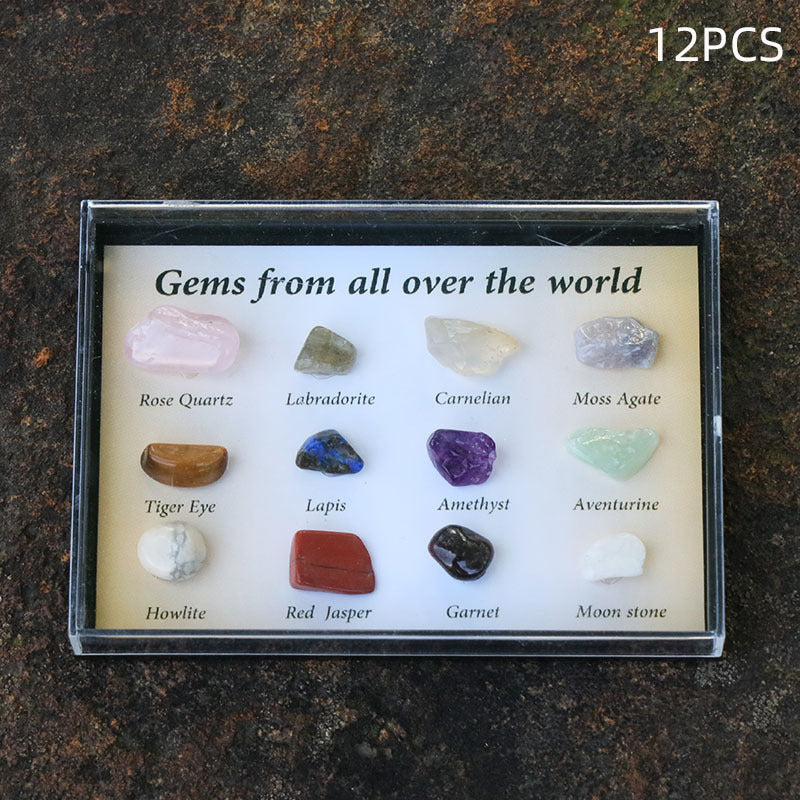 Semi-Precious Crystal Specimen Geology Box GEMROCKY-Mineral Specimens-12pcs Box-