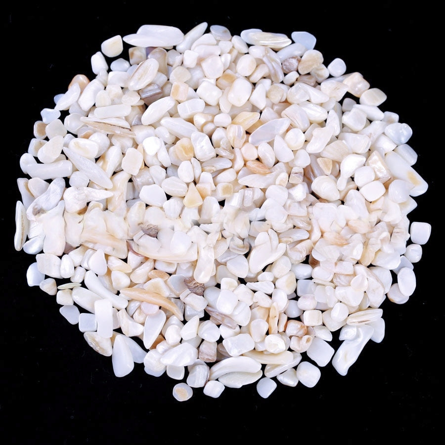 White Shell Chips GEMROCKY-Tumbles-
