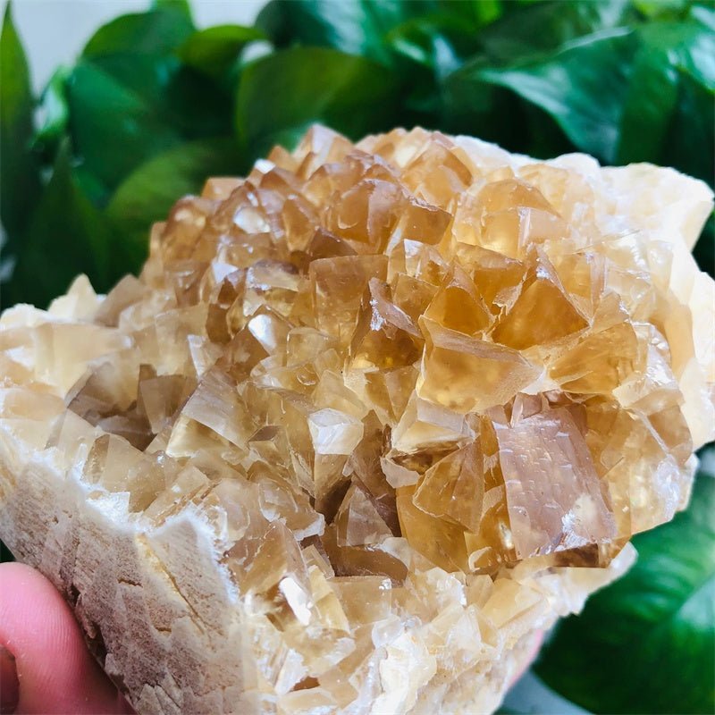 Yellow Honey Calcite Specimen GEMROCKY-Mineral Specimens-